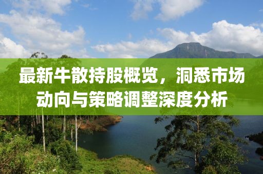 最新牛散持股概览，洞悉市场动向与策略调整深度分析