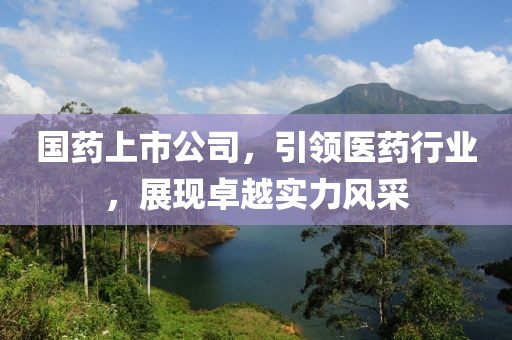 国药上市公司，引领医药行业，展现卓越实力风采