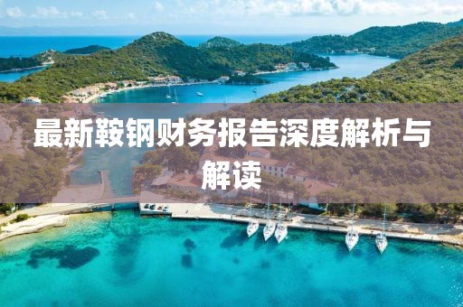最新鞍钢财务报告深度解析与解读