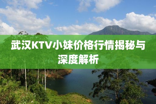 武汉KTV小妹价格行情揭秘与深度解析