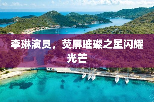 李琳演员，荧屏璀璨之星闪耀光芒
