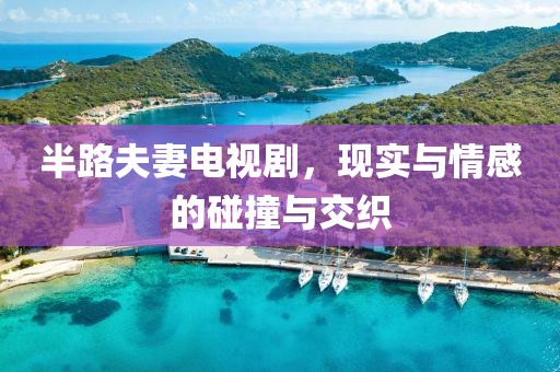 半路夫妻电视剧，现实与情感的碰撞与交织