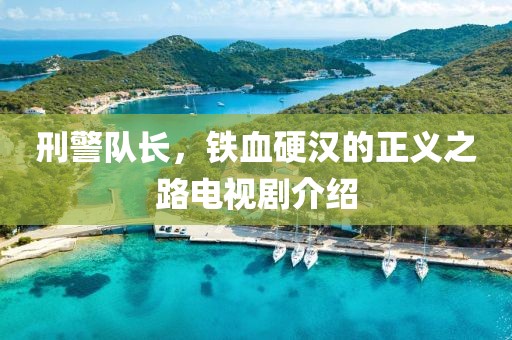 刑警队长，铁血硬汉的正义之路电视剧介绍