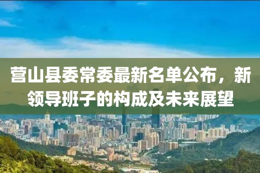 营山县委常委最新名单公布，新领导班子的构成及未来展望