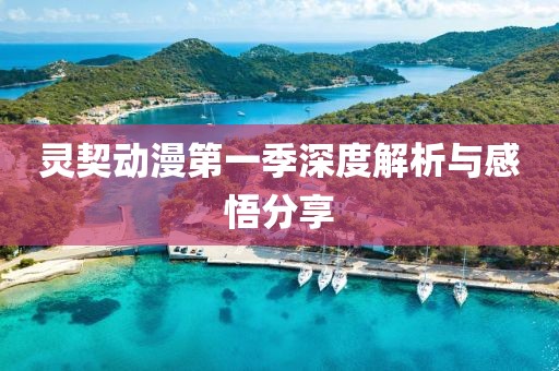 灵契动漫第一季深度解析与感悟分享