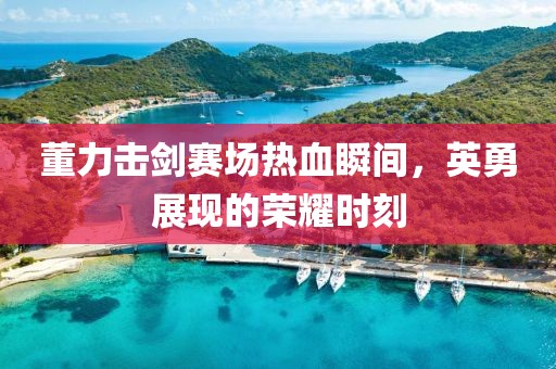 董力击剑赛场热血瞬间，英勇展现的荣耀时刻