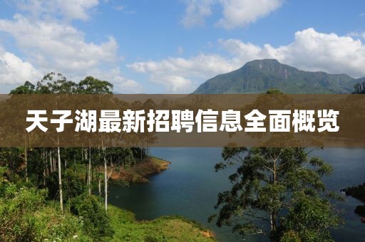 天子湖最新招聘信息全面概览