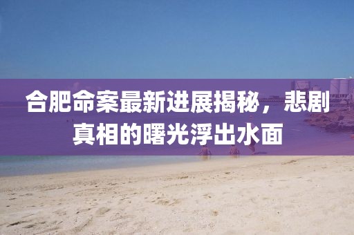 合肥命案最新进展揭秘，悲剧真相的曙光浮出水面