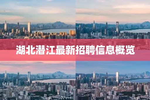 湖北潜江最新招聘信息概览