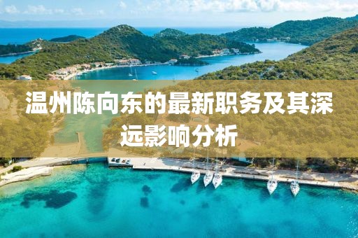 温州陈向东的最新职务及其深远影响分析
