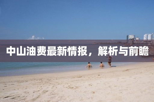 中山油费最新情报，解析与前瞻