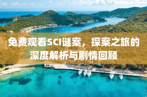 免费观看SCI谜案，探案之旅的深度解析与剧情回顾