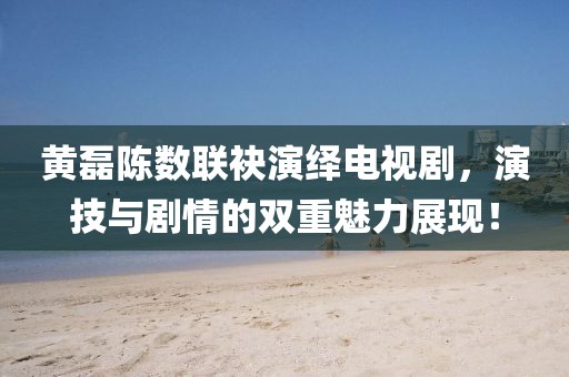 黄磊陈数联袂演绎电视剧，演技与剧情的双重魅力展现！