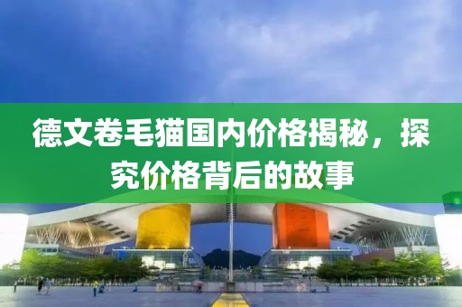 德文卷毛猫国内价格揭秘，探究价格背后的故事