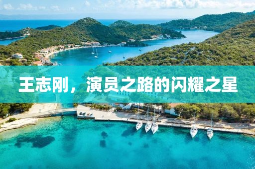 王志刚，演员之路的闪耀之星