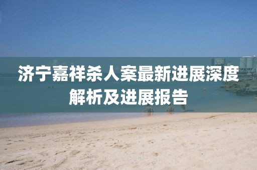 济宁嘉祥杀人案最新进展深度解析及进展报告