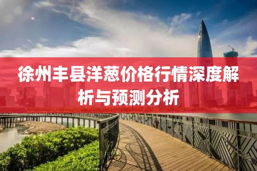 徐州丰县洋葱价格行情深度解析与预测分析