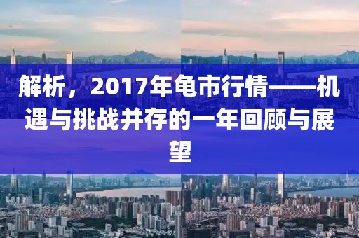解析，2017年龟市行情——机遇与挑战并存的一年回顾与展望