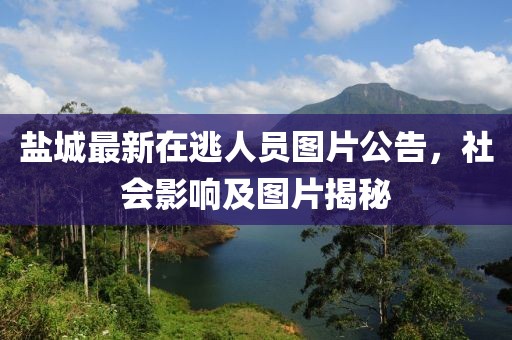 盐城最新在逃人员图片公告，社会影响及图片揭秘