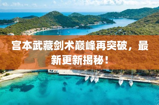 宫本武藏剑术巅峰再突破，最新更新揭秘！