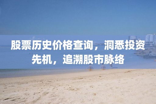 股票历史价格查询，洞悉投资先机，追溯股市脉络