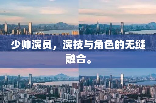 少帅演员，演技与角色的无缝融合。