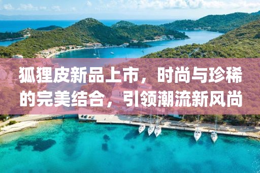 狐狸皮新品上市，时尚与珍稀的完美结合，引领潮流新风尚