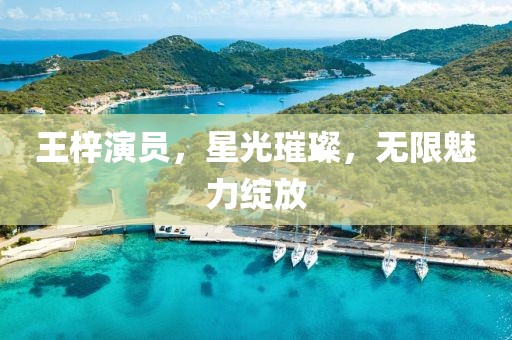 王梓演员，星光璀璨，无限魅力绽放