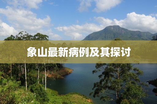 象山最新病例及其探讨