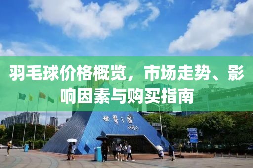 羽毛球价格概览，市场走势、影响因素与购买指南