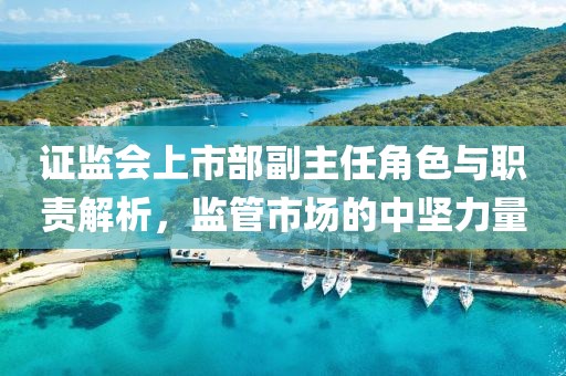 证监会上市部副主任角色与职责解析，监管市场的中坚力量