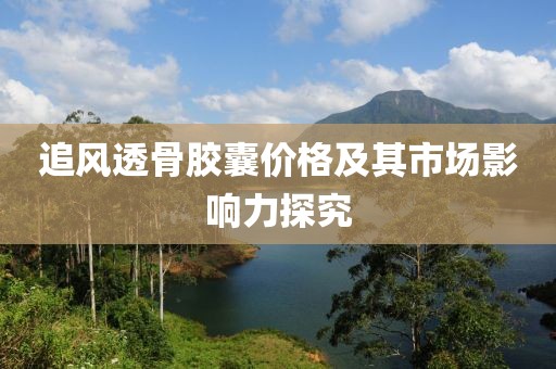 追风透骨胶囊价格及其市场影响力探究