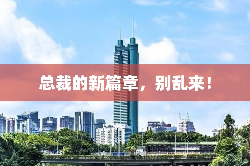 总裁的新篇章，别乱来！