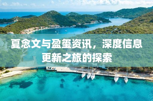 夏念文与盈玺资讯，深度信息更新之旅的探索