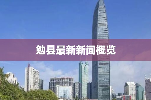 勉县最新新闻概览