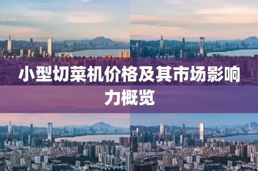 盗琴音 第14页