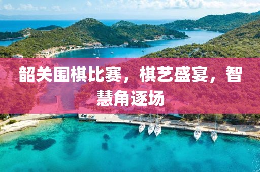 韶关围棋比赛，棋艺盛宴，智慧角逐场