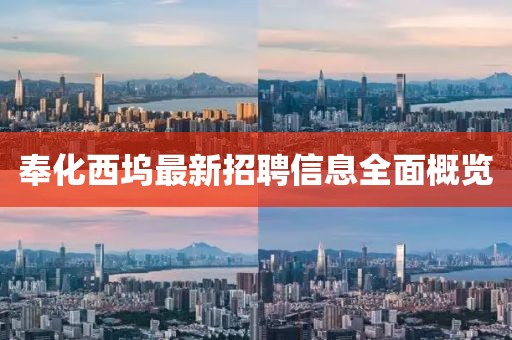 奉化西坞最新招聘信息全面概览