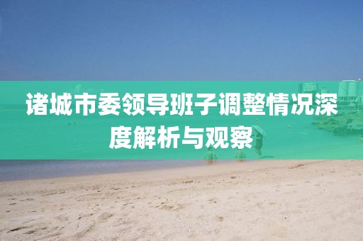诸城市委领导班子调整情况深度解析与观察
