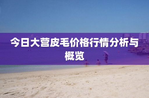 今日大营皮毛价格行情分析与概览