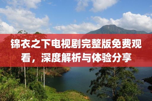 锦衣之下电视剧完整版免费观看，深度解析与体验分享