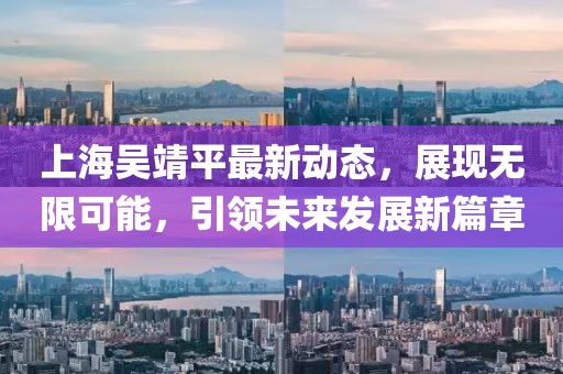 上海吴靖平最新动态，展现无限可能，引领未来发展新篇章