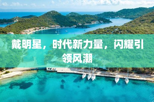 戴明星，时代新力量，闪耀引领风潮