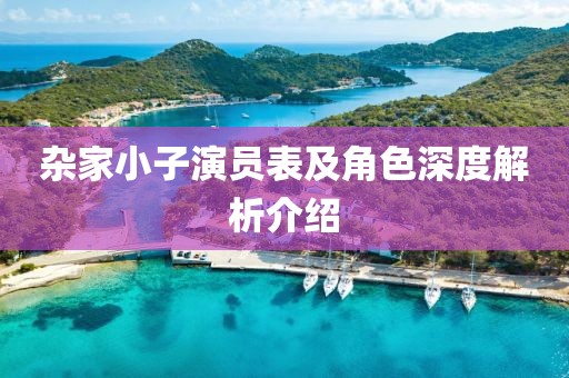 杂家小子演员表及角色深度解析介绍