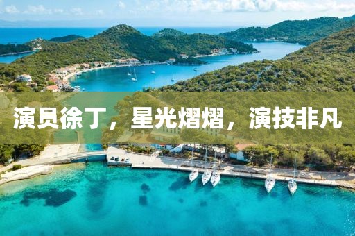 演员徐丁，星光熠熠，演技非凡