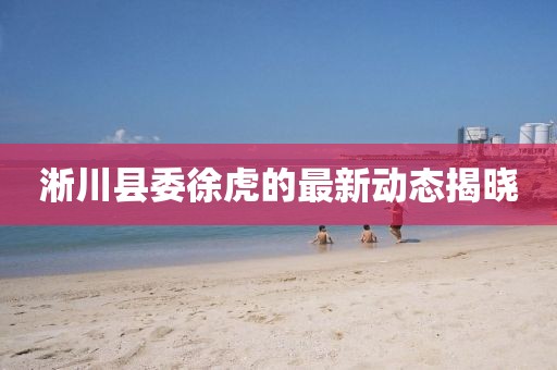 淅川县委徐虎的最新动态揭晓