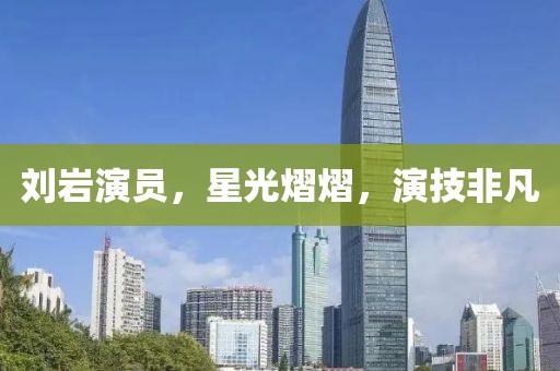 刘岩演员，星光熠熠，演技非凡