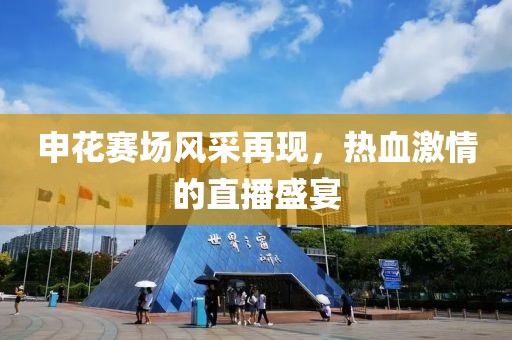 申花赛场风采再现，热血激情的直播盛宴