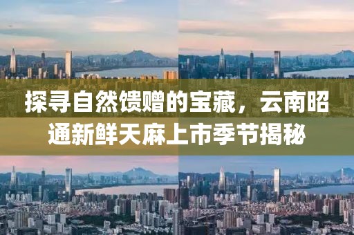 探寻自然馈赠的宝藏，云南昭通新鲜天麻上市季节揭秘
