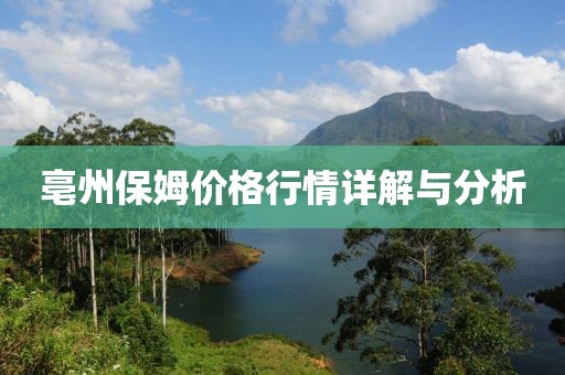 亳州保姆价格行情详解与分析